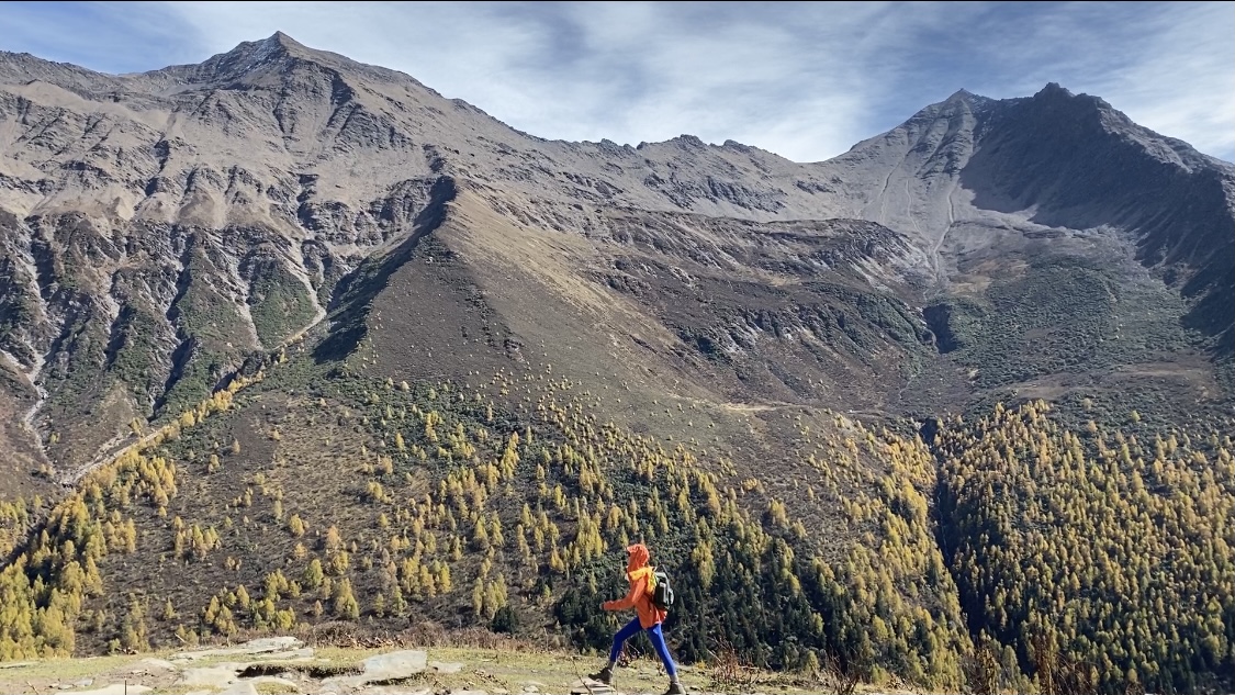 24小时dy业务自助下单平台便宜：高性价比自助下单就选这平台